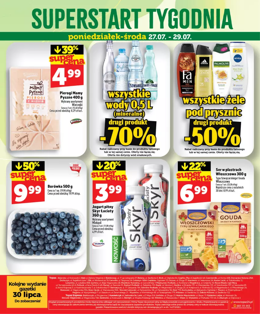 Gazetka promocyjna Topaz - Gazetka - ważna 23.07 do 29.07.2026 - strona 42 - produkty: Borówka, Cars, Gouda, Jogurt, Jogurt pitny, Olej, Pierogi, Ser