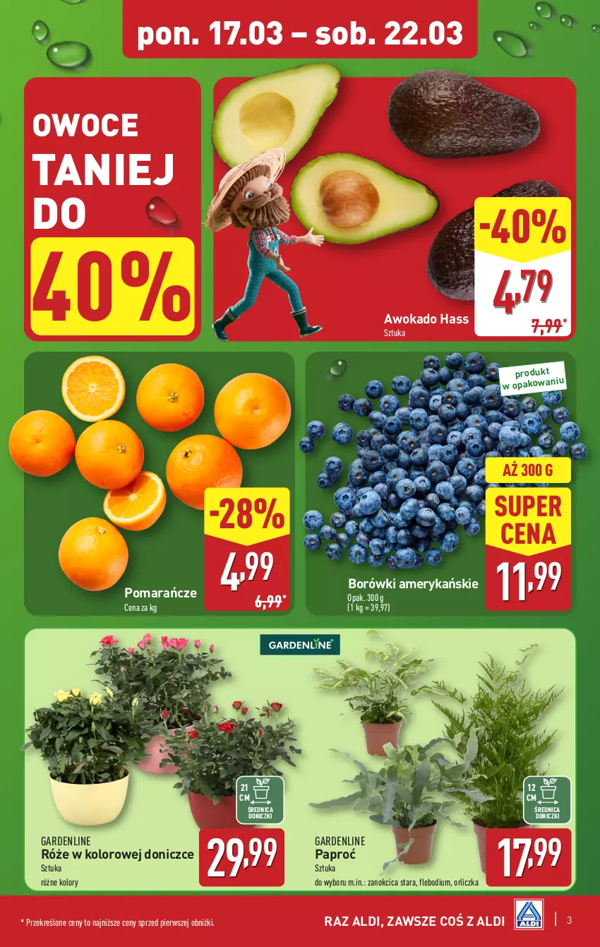 Gazetka promocyjna Aldi - Pełna oferta - ważna 17.03 do 22.03.2025 - strona 3 - produkty: Owoce, Pomarańcze