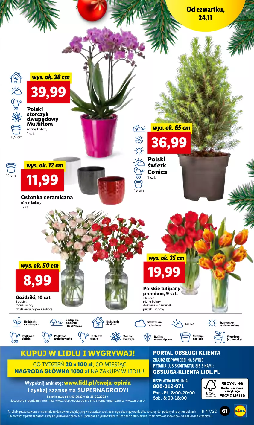 Gazetka promocyjna Lidl - GAZETKA - ważna 24.11 do 26.11.2022 - strona 63 - produkty: Bukiet, Cień, Flora, Gry, Mola, O nas, Osłonka, Por, Sok, Storczyk, Tulipan