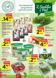 Gazetka promocyjna Intermarche - Gazetka Intermarche - Gazetka - ważna od 05.10 do 05.10.2022 - strona 14 - produkty: Por, Roszponka, Morela, Rukola, Sałat, Rodzynki, Mieszanka orzechowa, Natka pietruszki, Mieszanka bakaliowa, Pomidor malinowy, Jarmuż, Szpinak