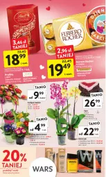 Gazetka promocyjna Intermarche - Gazetka Intermarche - Gazetka - ważna od 25.01 do 25.01.2023 - strona 2 - produkty: Tulipan, Praliny, Kosz, Primula, Ferrero Rocher, Storczyk, Bukiet, Ferrero, Lindt