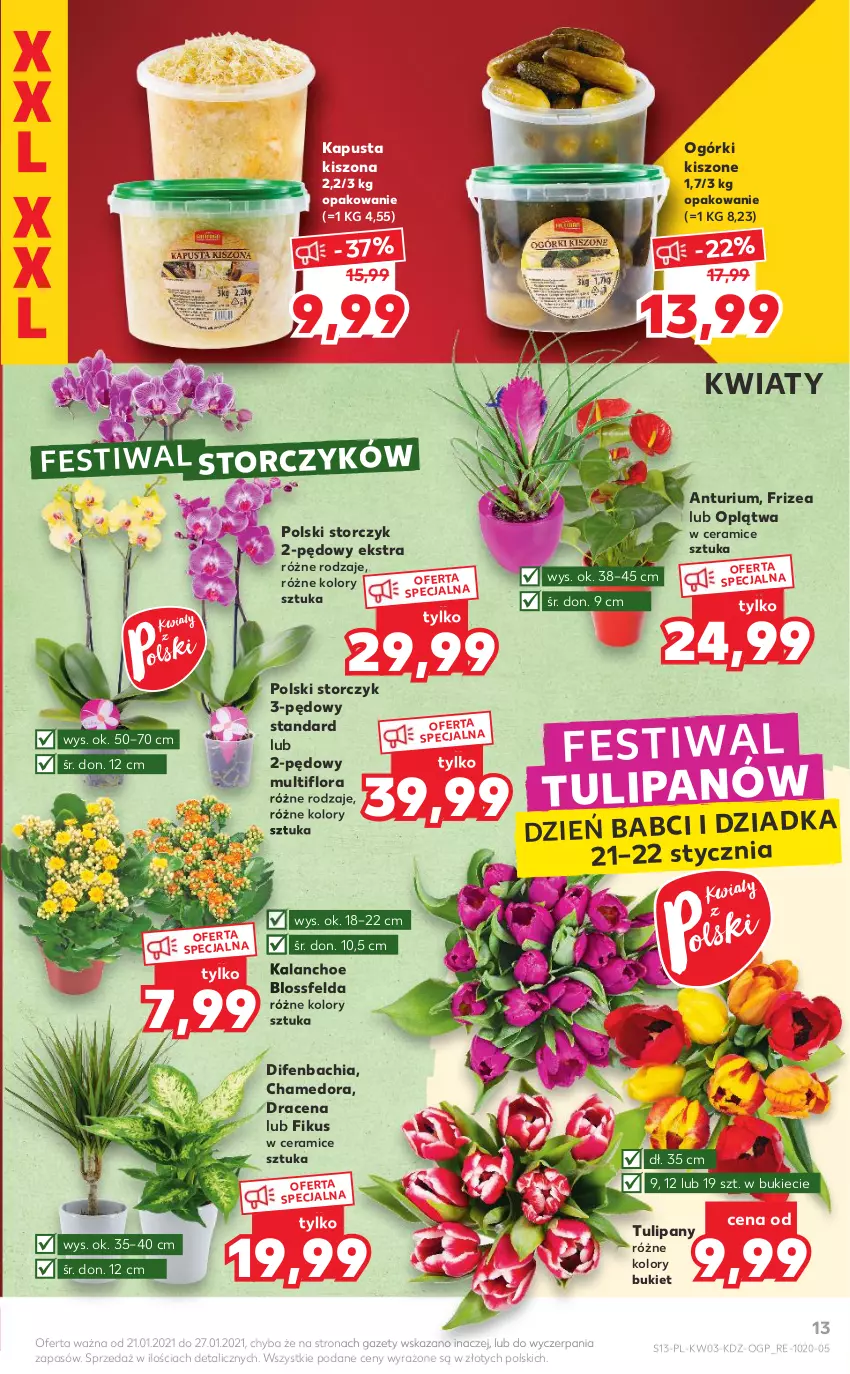 Gazetka promocyjna Kaufland - Promocje tygodnia - ważna 21.01 do 27.01.2021 - strona 13 - produkty: Bukiet, Chia, Flora, Kalanchoe, NBA, Storczyk, Tulipan