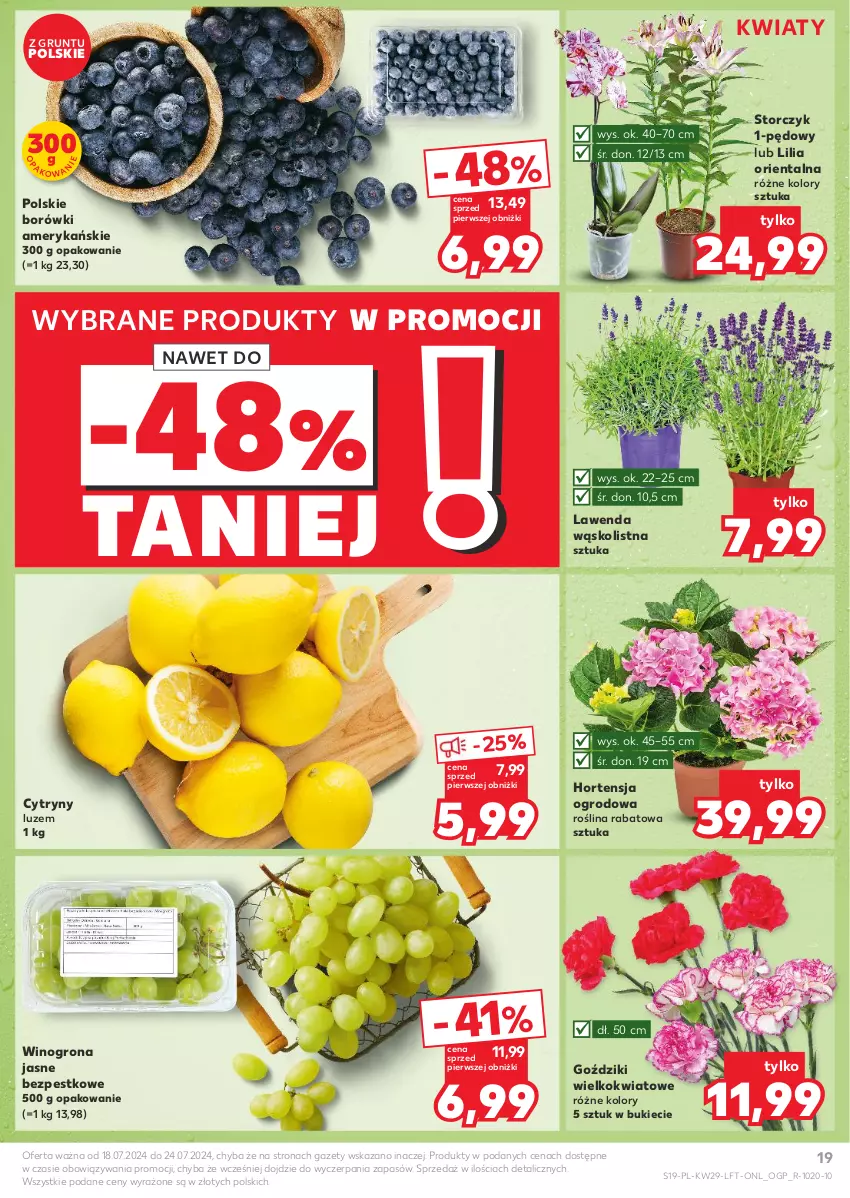 Gazetka promocyjna Kaufland - Gazetka tygodnia - ważna 18.07 do 24.07.2024 - strona 19 - produkty: Cytryny, Grunt, Storczyk, Wino, Winogrona