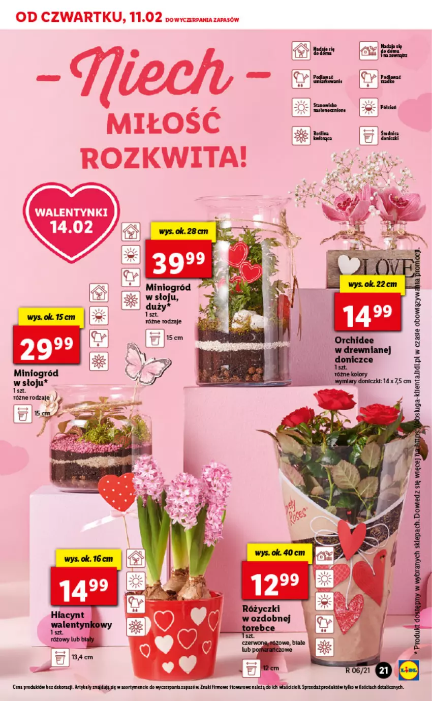 Gazetka promocyjna Lidl - GAZETKA - ważna 11.02 do 13.02.2021 - strona 21