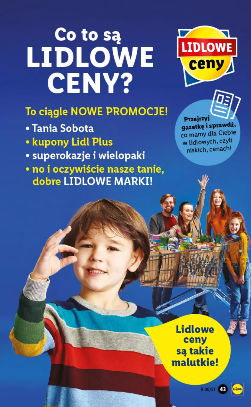 Gazetka promocyjna Lidl - GAZETKA - ważna 11.02 do 13.02.2021 - strona 43