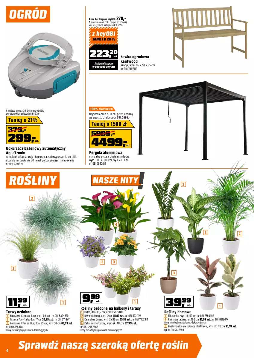 Gazetka promocyjna Obi - Gazetka OBI - ważna 02.06 do 16.06.2026 - strona 4 - produkty: Akumulator, Dzwonek, Kalanchoe, Odkurzacz, Ogród, Palma, Por