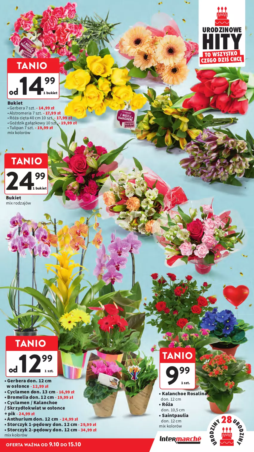 Gazetka promocyjna Intermarche - Gazetka Intermarche - ważna 09.10 do 15.10.2025 - strona 11 - produkty: Bromelia, Bukiet, Gerber, Kalanchoe, Róża, Storczyk, Tulipan