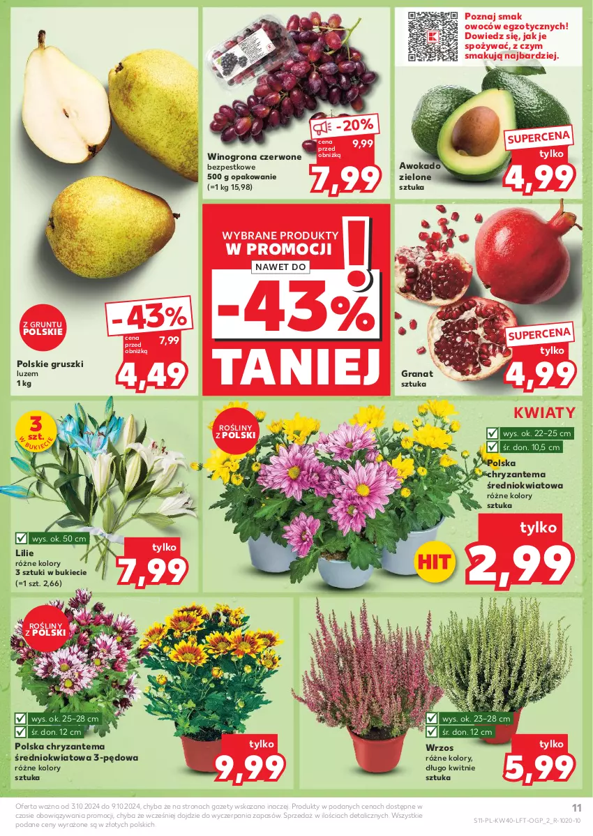 Gazetka promocyjna Kaufland - Gazetka tygodnia - ważna 03.10 do 09.10.2024 - strona 11 - produkty: Chryzantema, Gra, Granat, Grunt, Gruszki, Wino, Winogrona