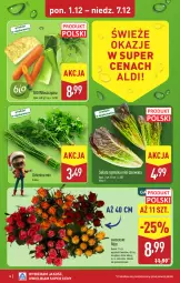 Gazetka promocyjna Aldi - Wykwintne smaki - Gazetka - ważna od 07.12 do 07.12.2025 - strona 16 - produkty: Sok, Sałat, Bukiet