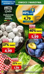 Gazetka promocyjna Lidl - GAZETKA - Gazetka - ważna od 12.08 do 12.08.2025 - strona 20 - produkty: Piec, Warzywa, Sałat, Owoce, Melon