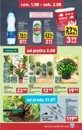 Gazetka promocyjna Aldi - Pełna oferta - Gazetka - ważna od 03.08 do 03.08.2024 - strona 23 - produkty: Piwa, Piwo, Sok, Por, Gra, Chryzantema, Perła, Ręcznik, Rolki, Woda mineralna, Woda, Sukulent