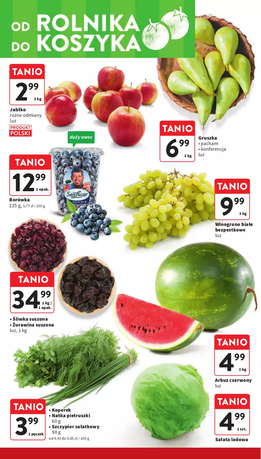 Gazetka promocyjna Intermarche - Gazetka Intermarche - ważna 25.04 do 29.04.2024 - strona 20 - produkty: Arbuz, Borówka, Natka pietruszki, Sałat, Sałata lodowa, Wino