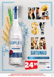 Gazetka promocyjna Topaz - Gazetka - Gazetka - ważna od 16.11 do 16.11.2025 - strona 5 - produkty: Soplica, Wódka