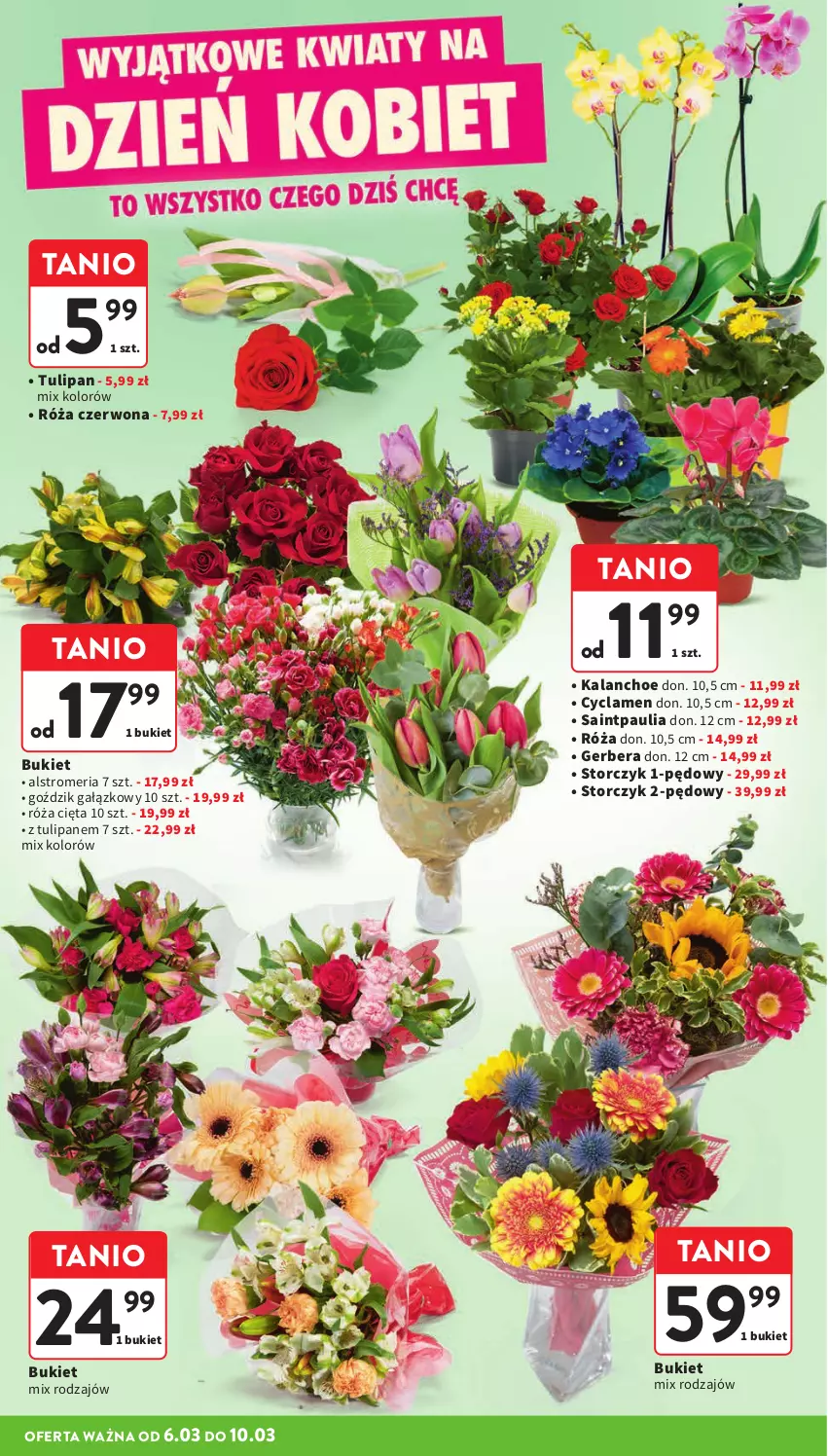 Gazetka promocyjna Intermarche - Gazetka Intermarche - ważna 06.03 do 12.03.2025 - strona 10 - produkty: Bukiet, Gerber, Kalanchoe, Róża, Storczyk, Tulipan