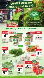 Gazetka promocyjna Intermarche - Gazetka Intermarche - Gazetka - ważna od 17.12 do 17.12.2025 - strona 25 - produkty: Roszponka, Ogórek, Czosnek, Rukola, Siatka, Sałat, Natka pietruszki, Szpinak