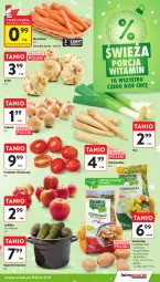 Gazetka promocyjna Intermarche - Gazetka Intermarche - Gazetka - ważna od 17.12 do 17.12.2025 - strona 26 - produkty: Piec, Cebula, Por, Pietruszka, Ogórek, Sałat