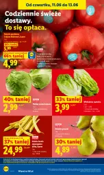 Gazetka promocyjna Lidl - Gazetka ważna od 11.06 do 13.06 - Gazetka - ważna od 13.06 do 13.06.2026 - strona 46 - produkty: Piec, Warzywa, Sałata lodowa, Wazon, Sałat, Fasola, Gruszki, Fasola szparagowa, Owoce, Olej, Pomidory, LG, Fa