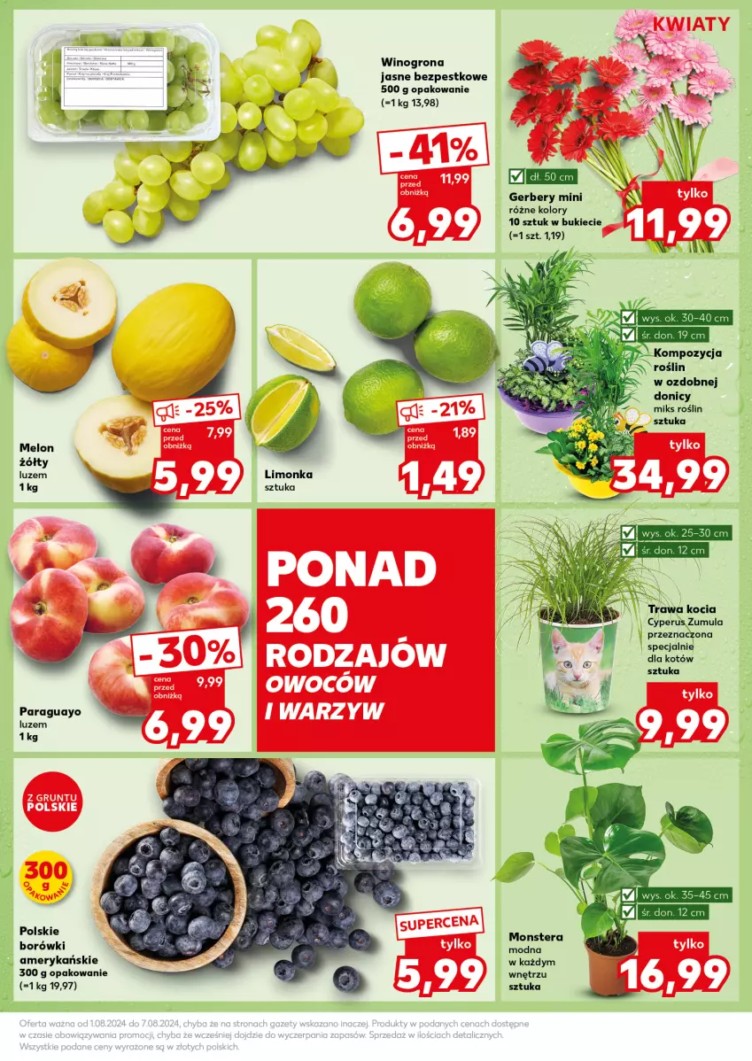 Gazetka promocyjna Kaufland - Kaufland - ważna 05.08 do 07.08.2024 - strona 13 - produkty: Gerber, Melon, Tera, Wino, Winogrona