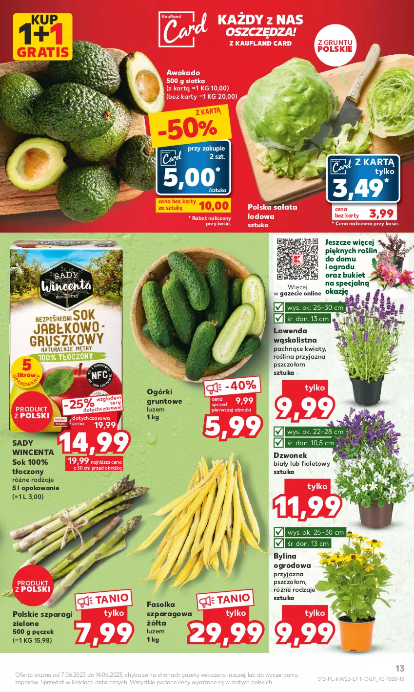 Gazetka promocyjna Kaufland - Gazetka tygodnia - ważna 07.06 do 14.06.2023 - strona 13 - produkty: Bukiet, Dzwonek, Fa, Gra, Grunt, Sałat, Sałata lodowa, Siatka, Sok