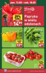 Gazetka promocyjna Aldi - Farmer ALDIK poleca świeże owoce i warzywa - Gazetka - ważna od 18.05 do 18.05.2024 - strona 2 - produkty: Papryka, Szpic, Pomidory