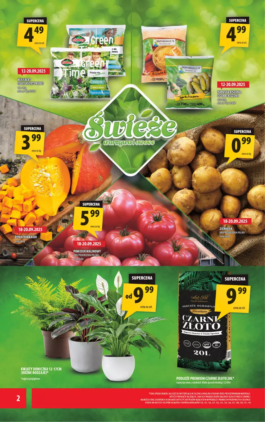 Gazetka promocyjna Arhelan - Gazetka - ważna 12.09 do 21.09.2025 - strona 2