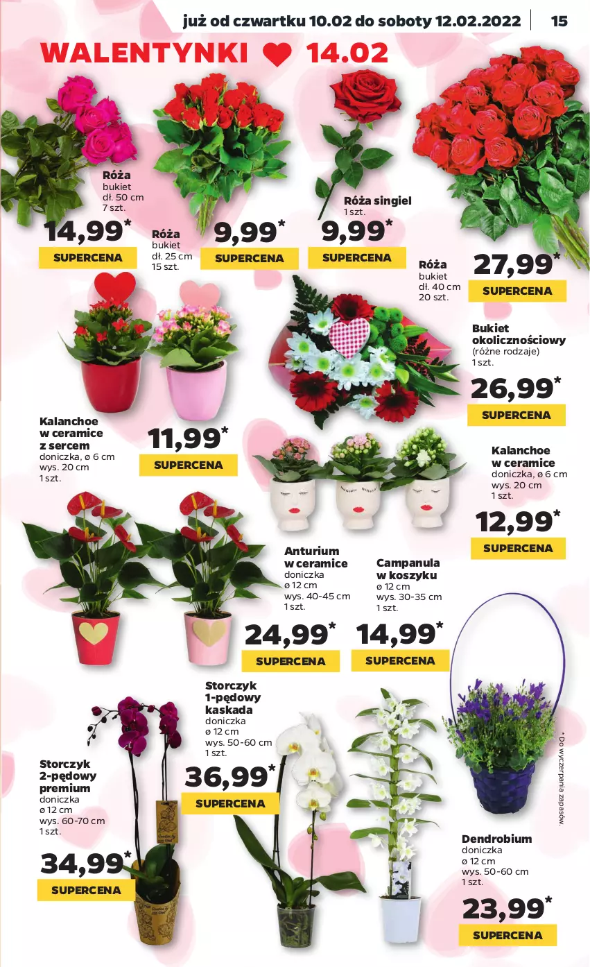 Gazetka promocyjna Netto - Gazetka spożywcza - ważna 07.02 do 12.02.2022 - strona 15 - produkty: Bukiet, Campanula, Kalanchoe, Kask, Kosz, Róża, Ser, Storczyk