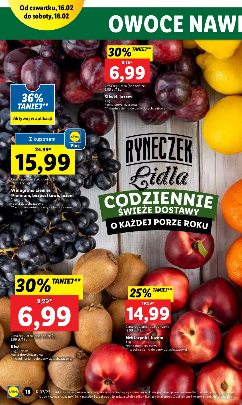 Gazetka promocyjna Lidl - GAZETKA - ważna 16.02 do 18.02.2023 - strona 18 - produkty: Kiwi, Nektar, Owoce, Por, Wino