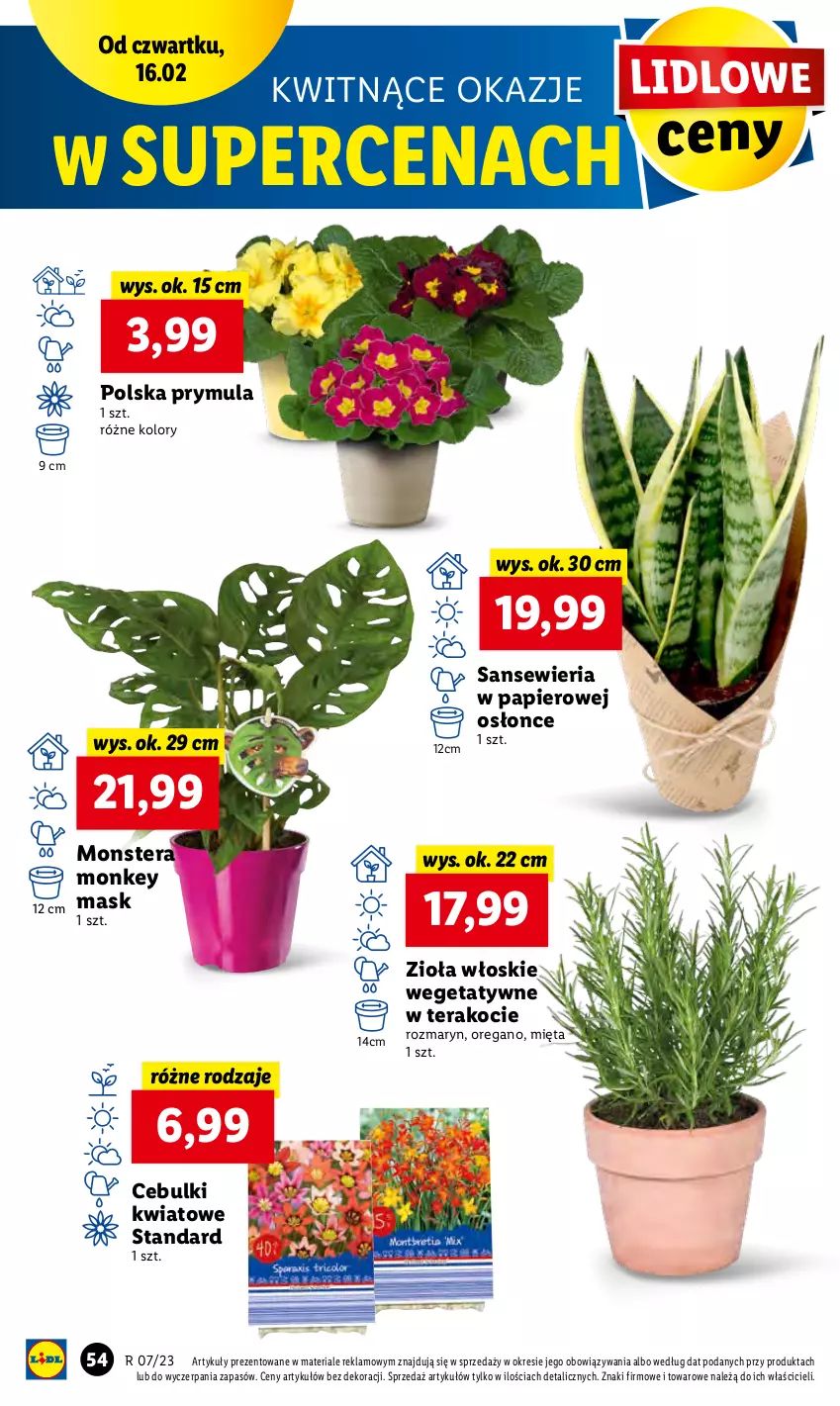 Gazetka promocyjna Lidl - GAZETKA - ważna 16.02 do 18.02.2023 - strona 56 - produkty: Koc, Mięta, Papier, Prymula, Tera