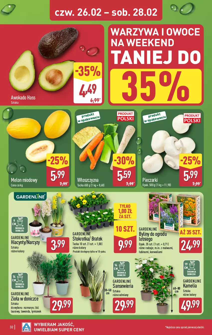 Gazetka promocyjna Aldi - Pełna oferta - ważna 23.02 do 28.02.2026 - strona 32 - produkty: Hiacynt, Laur, Melon, Narcyz, Owoce, Piec, Warzywa, Warzywa i owoce, Zioła w doniczce