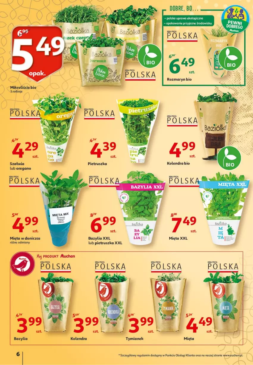 Gazetka promocyjna Auchan - 25 Urodziny #3 Hipermarkety - ważna 06.05 do 13.05.2021 - strona 6 - produkty: Bazyl, Bazylia, Kolendra, Mięta, Pietruszka