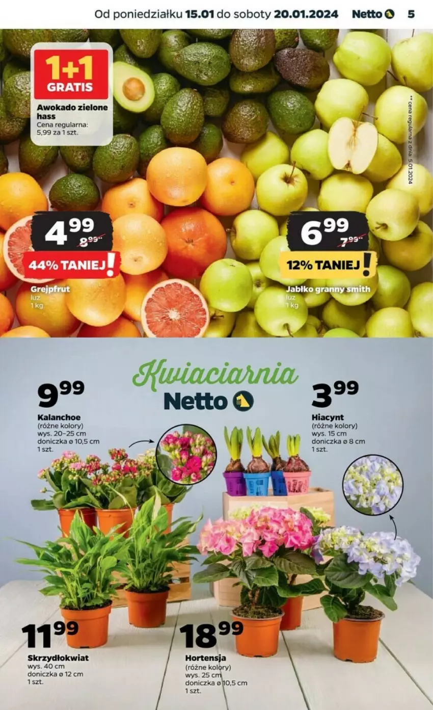 Gazetka promocyjna Netto - ważna 15.01 do 20.01.2024 - strona 20 - produkty: Hiacynt, Kalanchoe