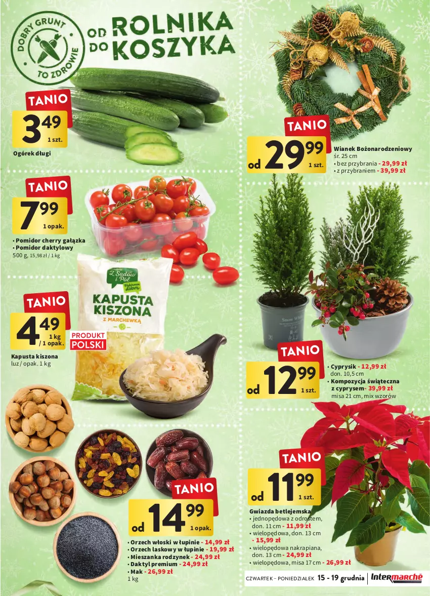 Gazetka promocyjna Intermarche - Gazetka Intermarche - ważna 15.12 do 19.12.2022 - strona 17 - produkty: Cyprysik, Gwiazda, Ogórek