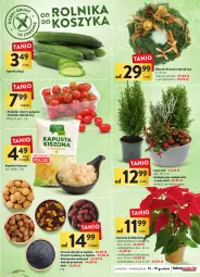 Gazetka promocyjna Intermarche - Gazetka Intermarche - Gazetka - ważna od 19.12 do 19.12.2022 - strona 17 - produkty: Cyprysik, Ogórek, Gwiazda