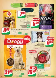 Gazetka promocyjna Dino - Gazetka 44 / 2024 - Gazetka - ważna od 05.11 do 05.11.2024 - strona 62 - produkty: Mokra karma, Pur, Purina, Królik, Mars, Pedigree, Sucha karma