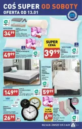 Gazetka promocyjna Aldi - Gazetka - ważna od 13.01 do 13.01.2024 - strona 22 - produkty: Karp, Materac, Tera, LANA, Ochraniacz na materac, Poduszka, Fa