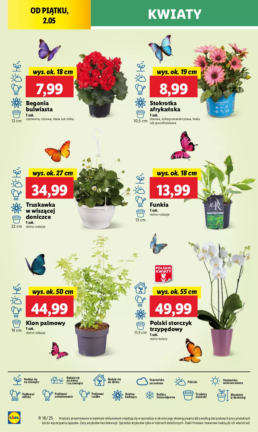 Gazetka promocyjna Lidl - GAZETKA - ważna 30.04 do 02.05.2025 - strona 40 - produkty: Cień, O nas, Por, Sok, Storczyk, Top