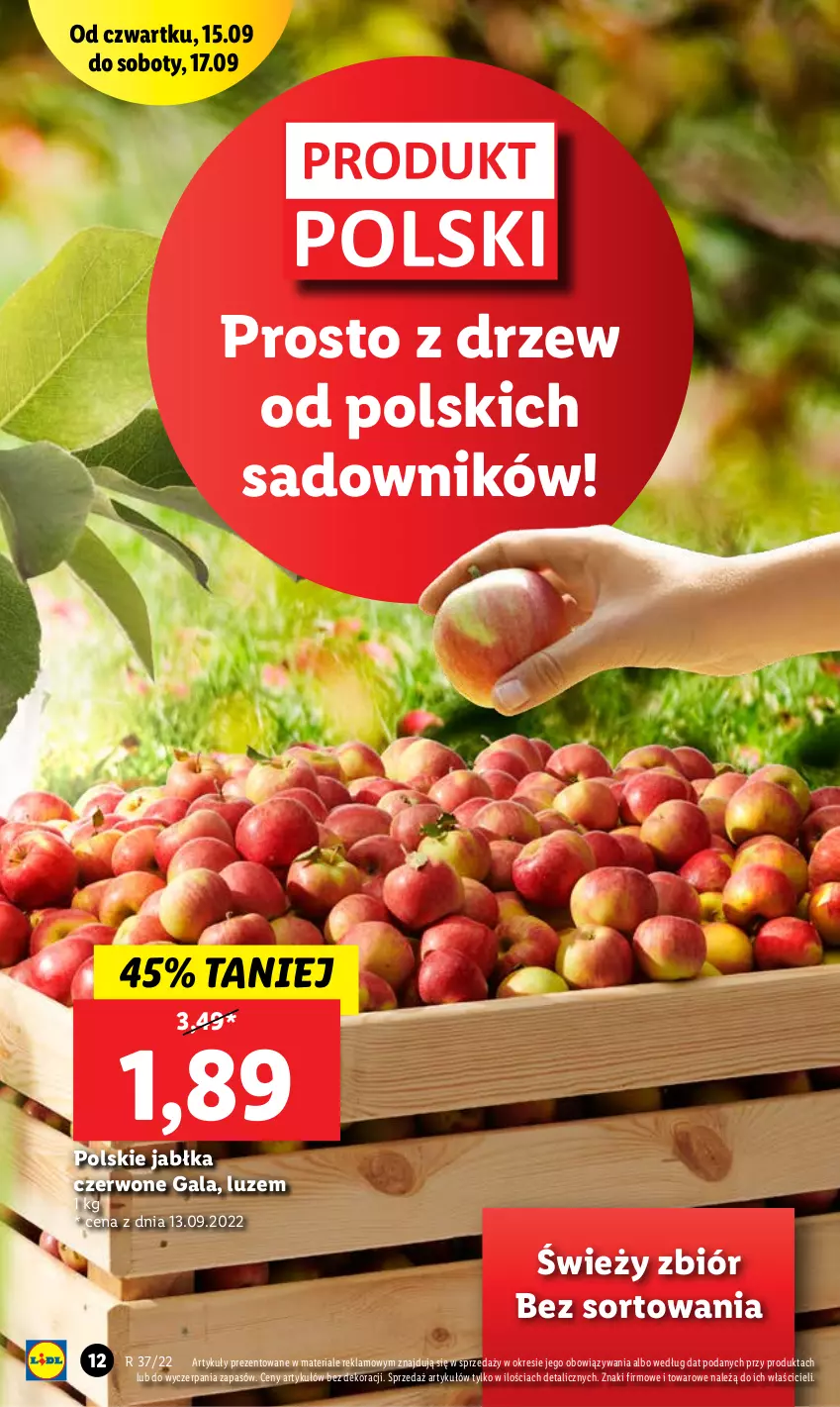 Gazetka promocyjna Lidl - GAZETKA - ważna 15.09 do 17.09.2022 - strona 12 - produkty: Gala, Jabłka