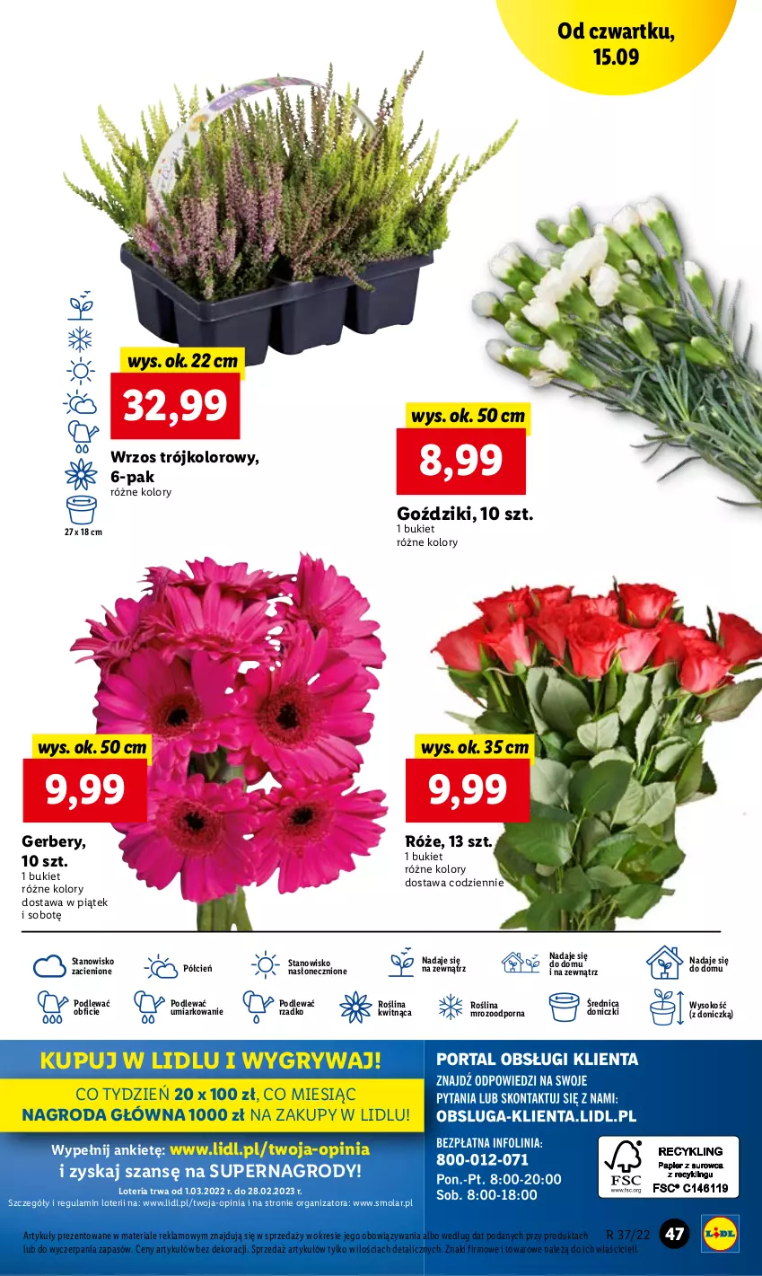 Gazetka promocyjna Lidl - GAZETKA - ważna 15.09 do 17.09.2022 - strona 47 - produkty: Bukiet, Cień, Gerber, Gry, Mola, O nas, Por, Sok