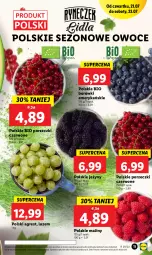 Gazetka promocyjna Lidl - GAZETKA - Gazetka - ważna od 23.07 do 23.07.2022 - strona 11 - produkty: Por, Jeżyny, Porzeczki czerwone, Maliny, Owoce, Gres