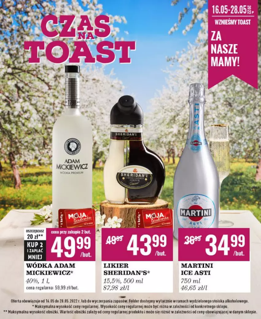 Gazetka promocyjna Biedronka - Czas na Toast - ważna 16.05 do 28.05.2022 - strona 1 - produkty: Kret, Likier, Martini, Rama, Sheridan's, Sok, Wódka