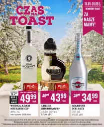 Gazetka promocyjna Biedronka - Czas na Toast - Gazetka - ważna od 28.05 do 28.05.2022 - strona 1 - produkty: Sok, Rama, Martini, Kret, Sheridan's, Wódka, Likier