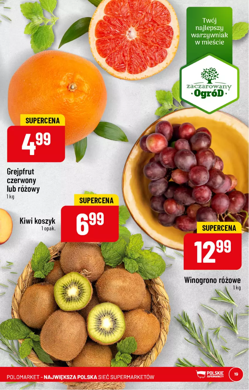 Gazetka promocyjna PoloMarket - Gazetka pomocyjna - ważna 22.02 do 28.02.2022 - strona 19 - produkty: Grejpfrut, Kiwi, Kosz, Ogród