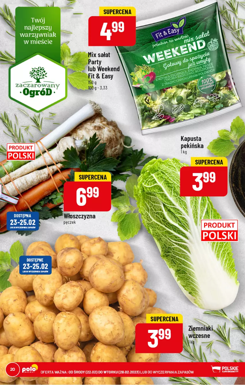 Gazetka promocyjna PoloMarket - Gazetka pomocyjna - ważna 22.02 do 28.02.2022 - strona 20 - produkty: Fa, Ogród