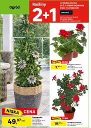 Gazetka promocyjna Leroy Merlin - Gazetka Leroy Merlin - Gazetka - ważna od 19.05 do 19.05.2026 - strona 6 - produkty: Flora, Nawóz, Ogród