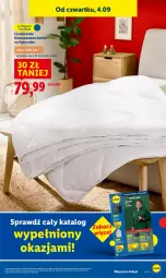 Gazetka promocyjna Lidl - GAZETKA - Gazetka - ważna od 06.09 do 06.09.2025 - strona 15 - produkty: Por, Ivar, Kołdra
