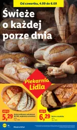 Gazetka promocyjna Lidl - GAZETKA - Gazetka - ważna od 06.09 do 06.09.2025 - strona 24 - produkty: Por, Rust