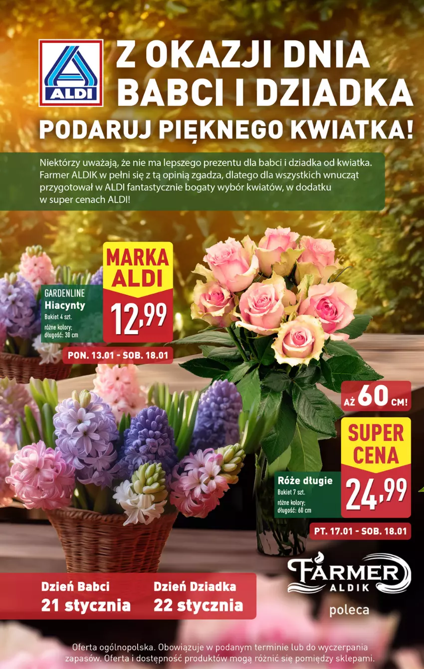 Gazetka promocyjna Aldi - Pełna oferta - ważna 13.01 do 18.01.2025 - strona 4 - produkty: Fa, Fanta