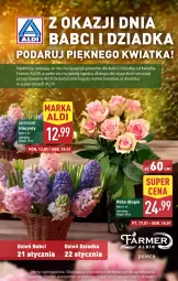 Gazetka promocyjna Aldi - Pełna oferta - Gazetka - ważna od 18.01 do 18.01.2025 - strona 4 - produkty: Fanta, Fa