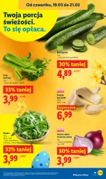 Gazetka promocyjna Lidl - GAZETKA - Gazetka - ważna od 21.03 do 21.03.2026 - strona 19 - produkty: Cebula czerwona, Cebula, Por, Ogórek, Rukola, Seler naciowy, Boczniak