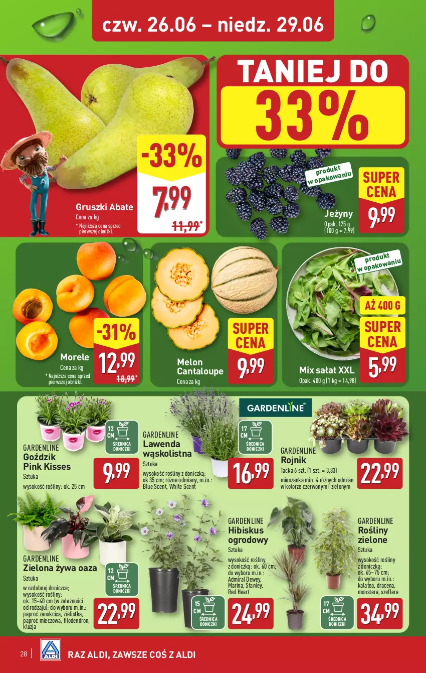 Gazetka promocyjna Aldi - Pełna oferta - ważna 23.06 do 29.06.2025 - strona 28 - produkty: Dron, Gruszki, Hibiskus, Jeżyny, Melon, Miecz, Sałat, Sok, Tera